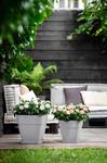 vibia campana square 30cm living concrete